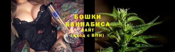 ПСИЛОЦИБИНОВЫЕ ГРИБЫ Магас