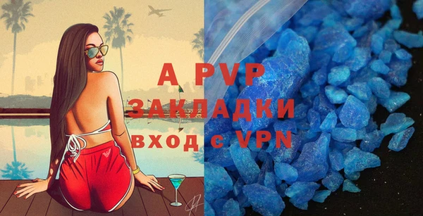 стафф Магадан