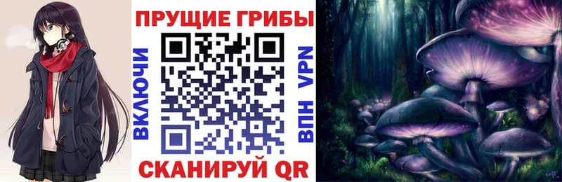 где продают наркотики  Корсаков  Галлюциногенные грибы ЛСД 