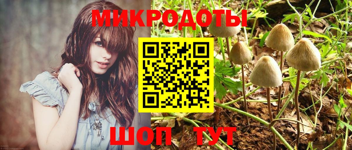 Псилоцибиновые грибы Psilocybe Корсаков