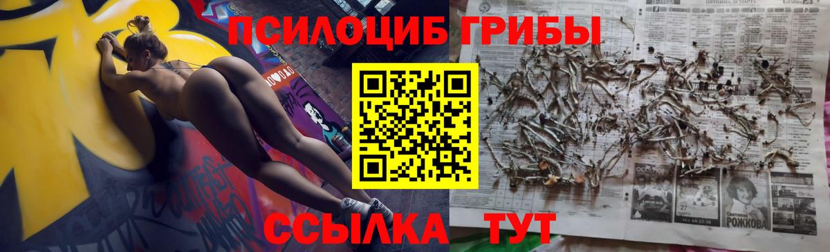 Псилоцибиновые грибы Magic Shrooms Корсаков